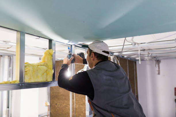 Best Eco-Friendly or Green Insulation Solutions  in Stearns, KY