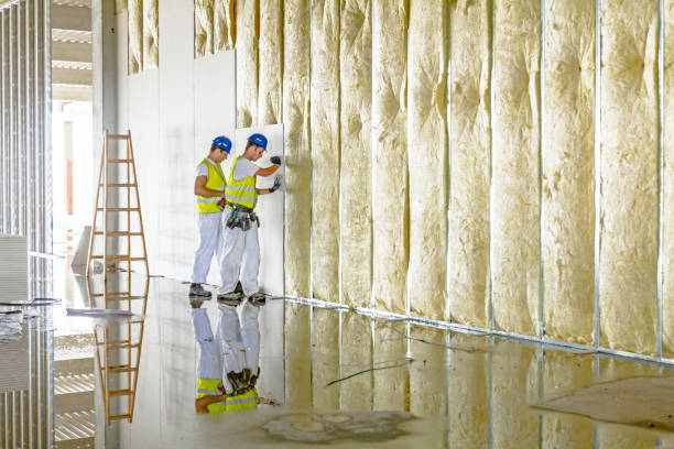 Best Blown-In Insulation  in Stearns, KY